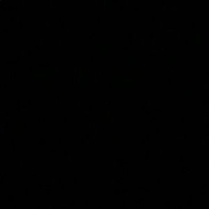 Meet your Posher, Monique